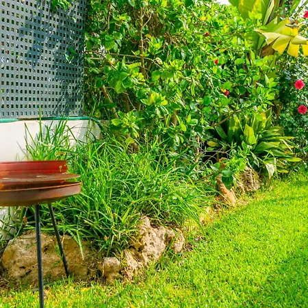 Cas Ferrer -bonaire-